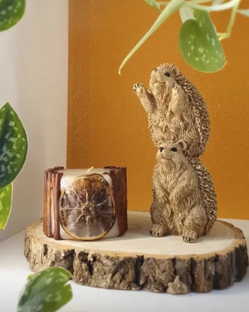 Vela de Canela e Laranja M