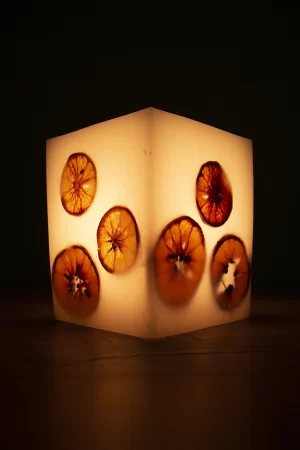 Vela Luminária de Laranja G