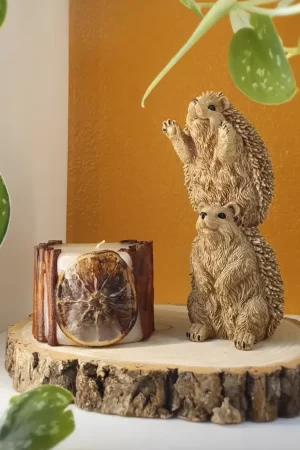 Vela de Canela e Laranja M